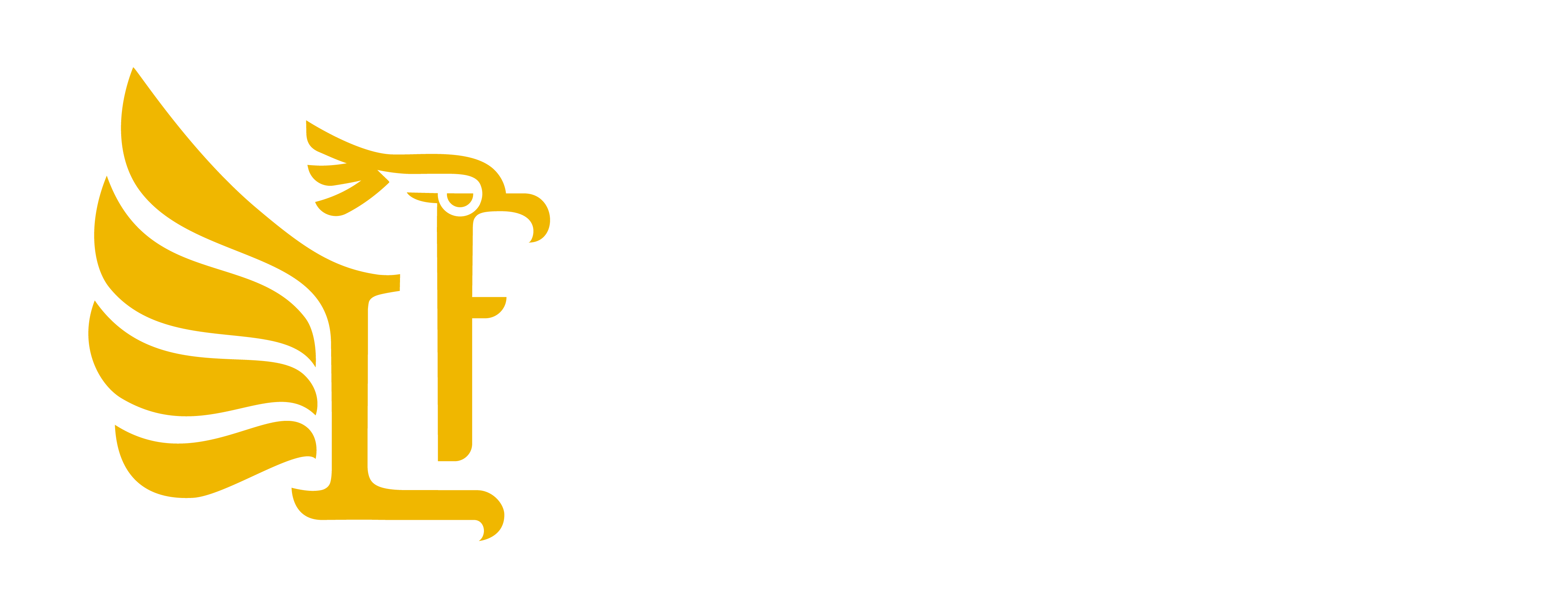 Levinson y Figueroa Logo